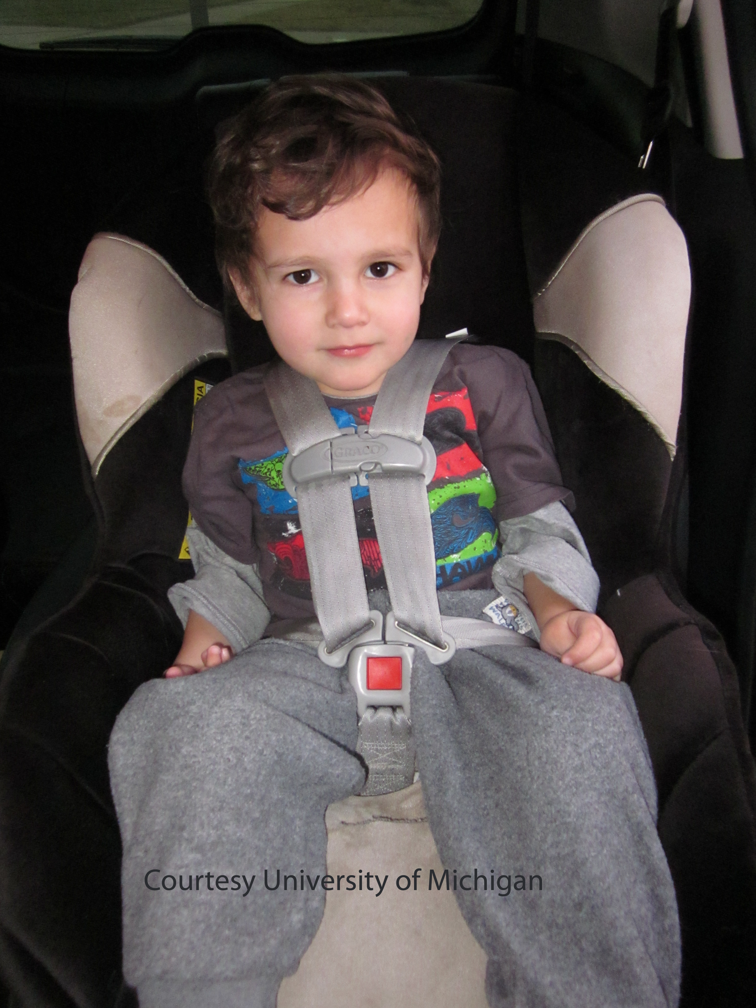 Child buckled into a car seat.